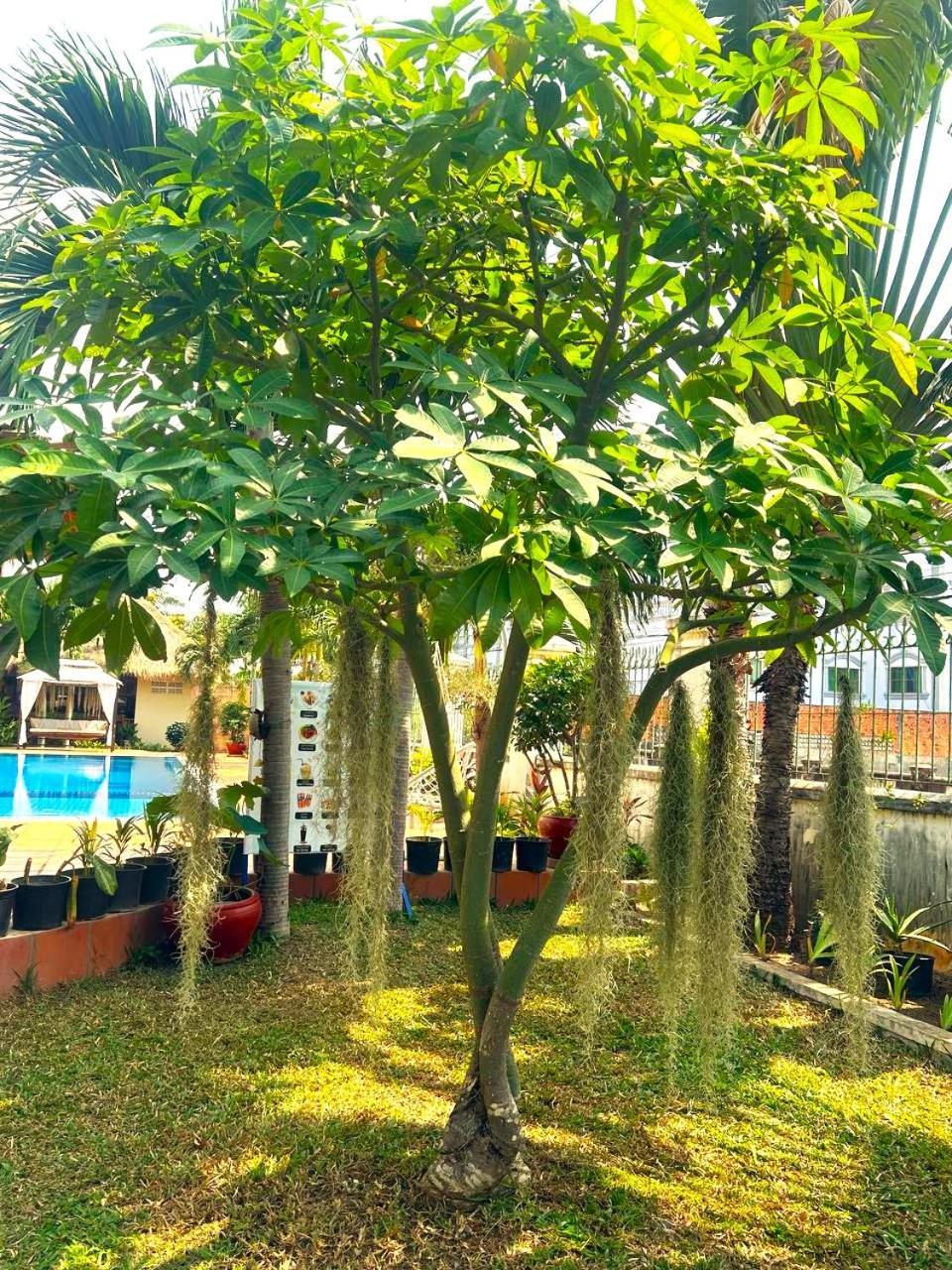 Riviera Hotel & Resort Kep Luaran gambar